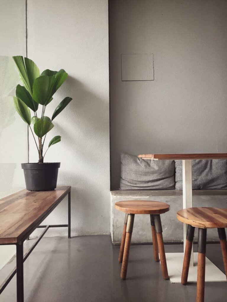 ¿Por qué debo colocar plantas en la sala?