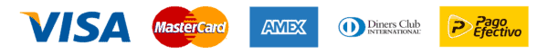 La imagen tiene un atributo ALT vacío; su nombre de archivo es Logos-de-medios-de-pago-Aceptados-png-600x60-3.png