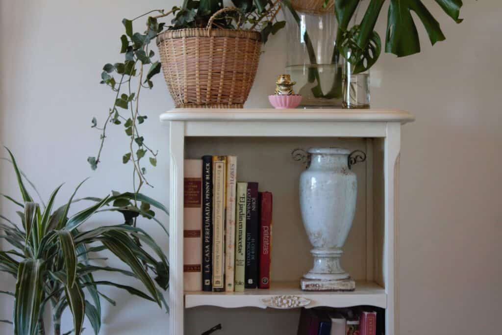 Tener plantas en el hogar no solo embellece tu espacio